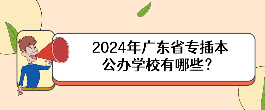 广东省专插本公办学校有哪些? 广东省专插本公办学校有哪些?