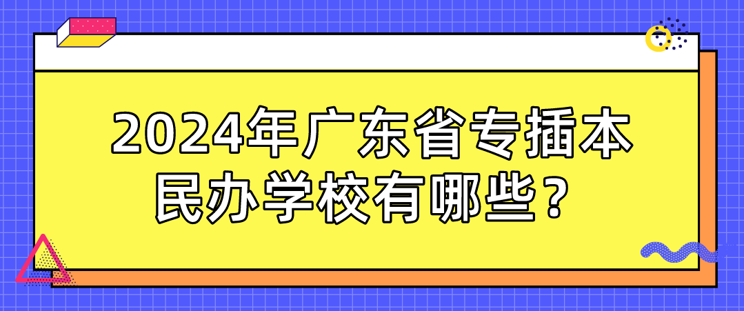 广东省专插本民办学校有哪些？