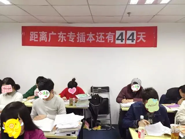 插本福利!广东专插本集训班火热报名中! 插本福利!广东专插本集训班火热报名中!